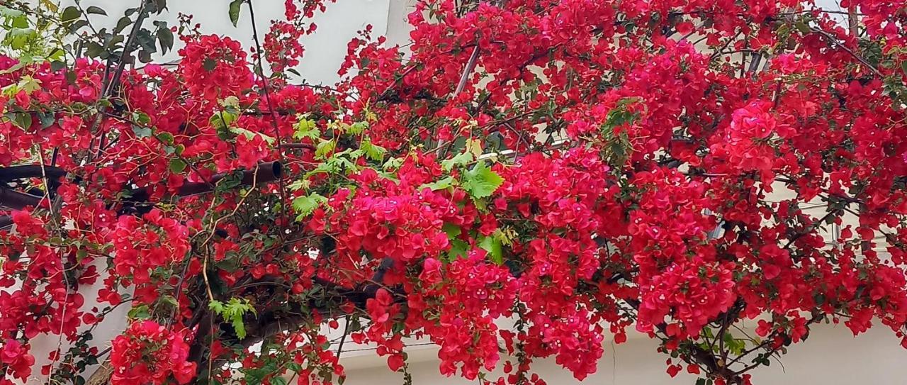 Stamatias Home, Fully Equipped Cottage 5 Minutes From The Sea Ханья Экстерьер фото